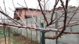 Ploaie inghetata 3