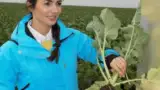 ing Mihaela Radu Rapool Romania
