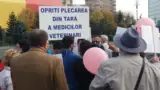 Protest medici veterinari 2018 foto 5 Protest medici veterinari 2018 foto 5