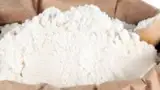 Faina alba de porumb Faina alba de porumb