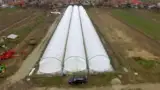 Solarii pentru capsuni Solarii pentru capsuni