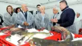 dancila si daea3