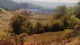 Pasune Maria Lazar 4