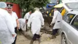 macel porci Dolj