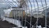 solar distrus viscol solar distrus viscol