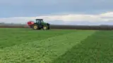 Fertilizare grau