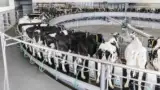 instalatie-circulara-muls