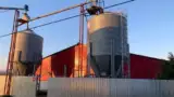 ferma porci4