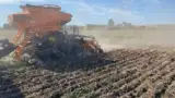 cum-se-seamana-rapita-direct-in-miriste