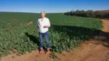 Krisztina Blaga CICH Transilvania Krisztina Blaga CICH Transilvania