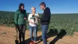 consultanta-cich-ferma-agrosty consultanta-cich-ferma-agrosty
