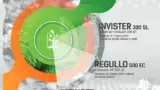 invister-regullo-innvigo invister-regullo-innvigo