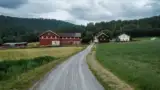 ferma-roxana-stangebye