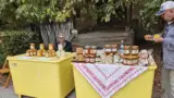 miere-ziua-produselor-agroalimentare miere-ziua-produselor-agroalimentare
