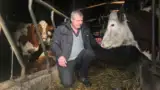 vasile-crapciu-ferma-vaci vasile-crapciu-ferma-vaci