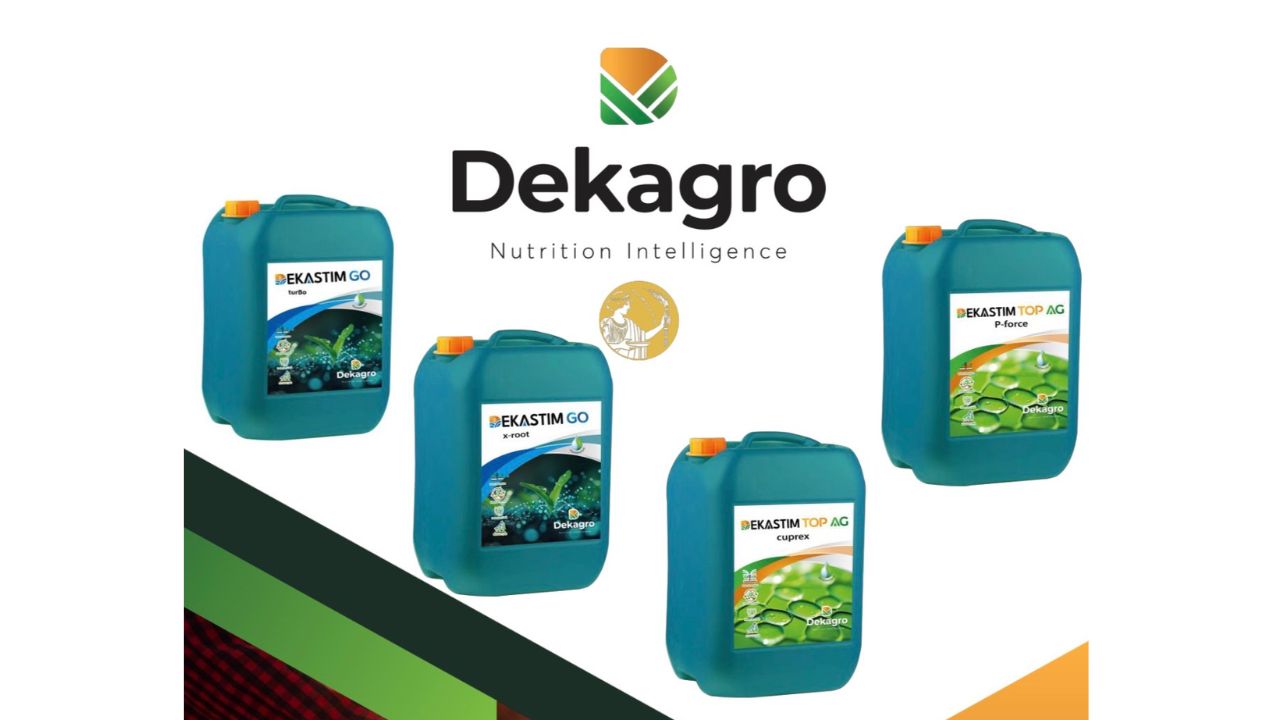 Dekastim de la Dekagro