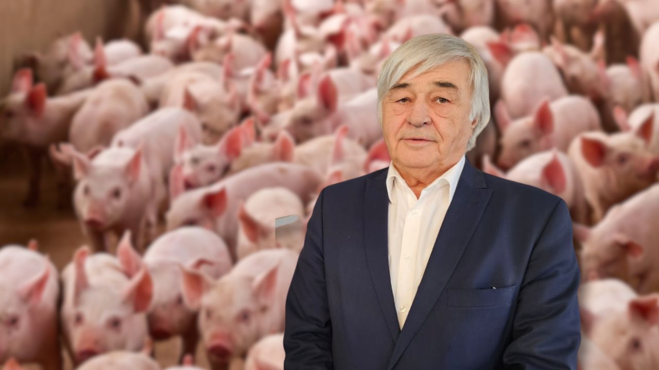 Dimitrie Muscă