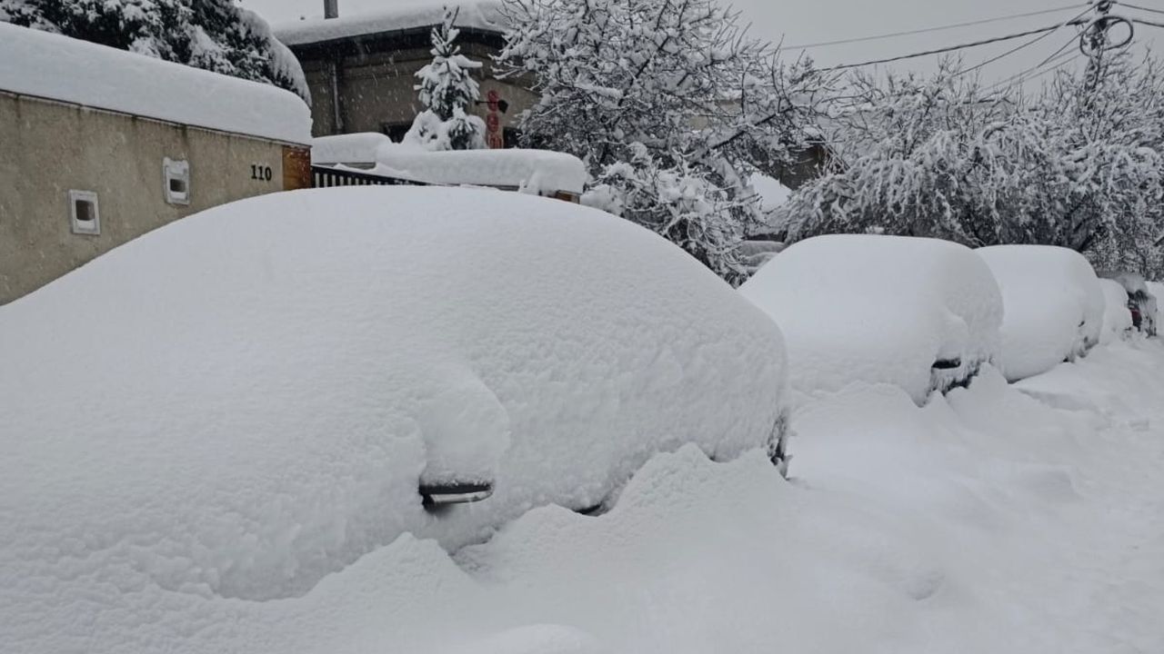 Zăpadă troienită