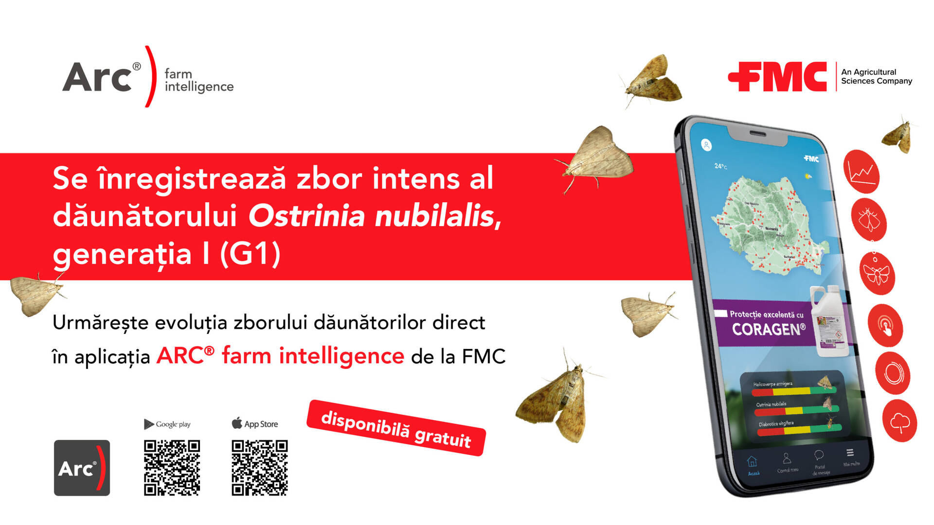 Avertizare zbor Ostrinia nubilalis de la FMC Agro