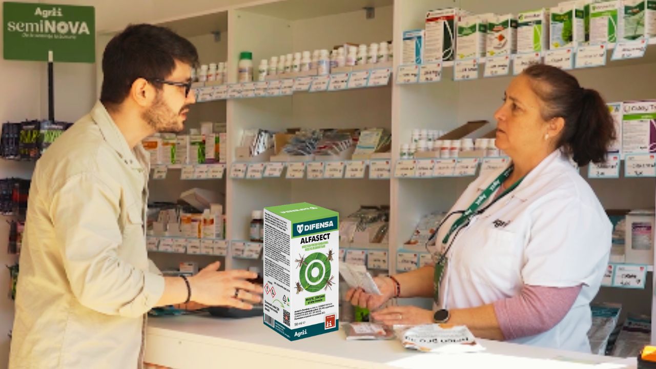 Fitofarmaciștii recomandă Alfasect pentru insecte zburătoare