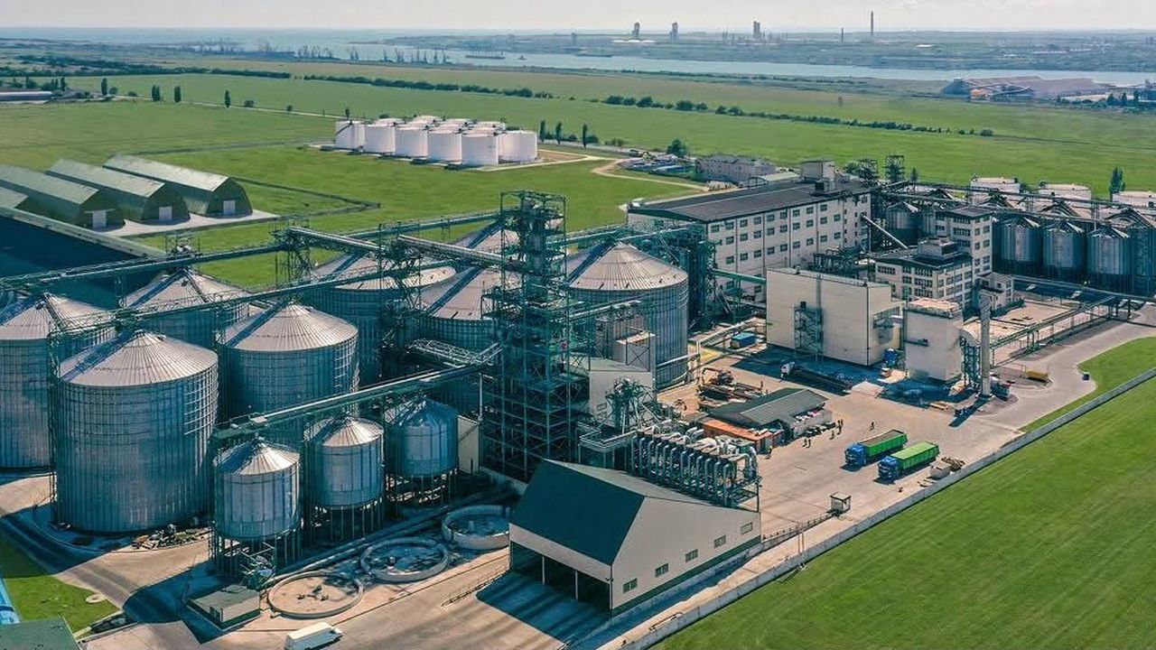 Facilități Allseeds în Ucraina