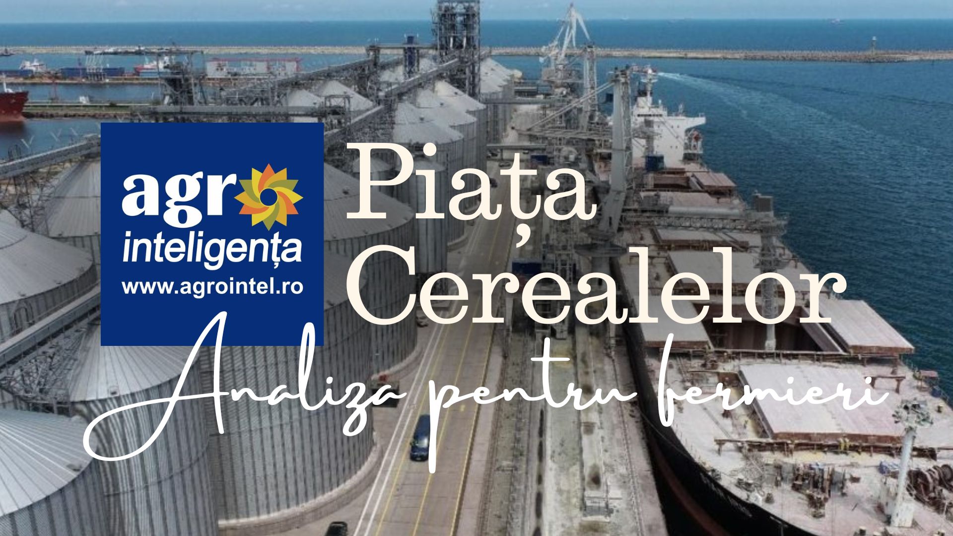 Analiză pe piața cerealelor - duminică, 26 iulie 2026