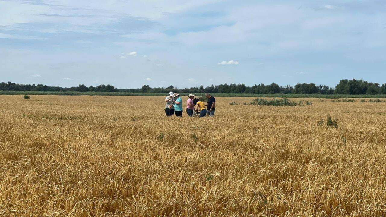 Control pe terenuri agricole din județul Tulcea