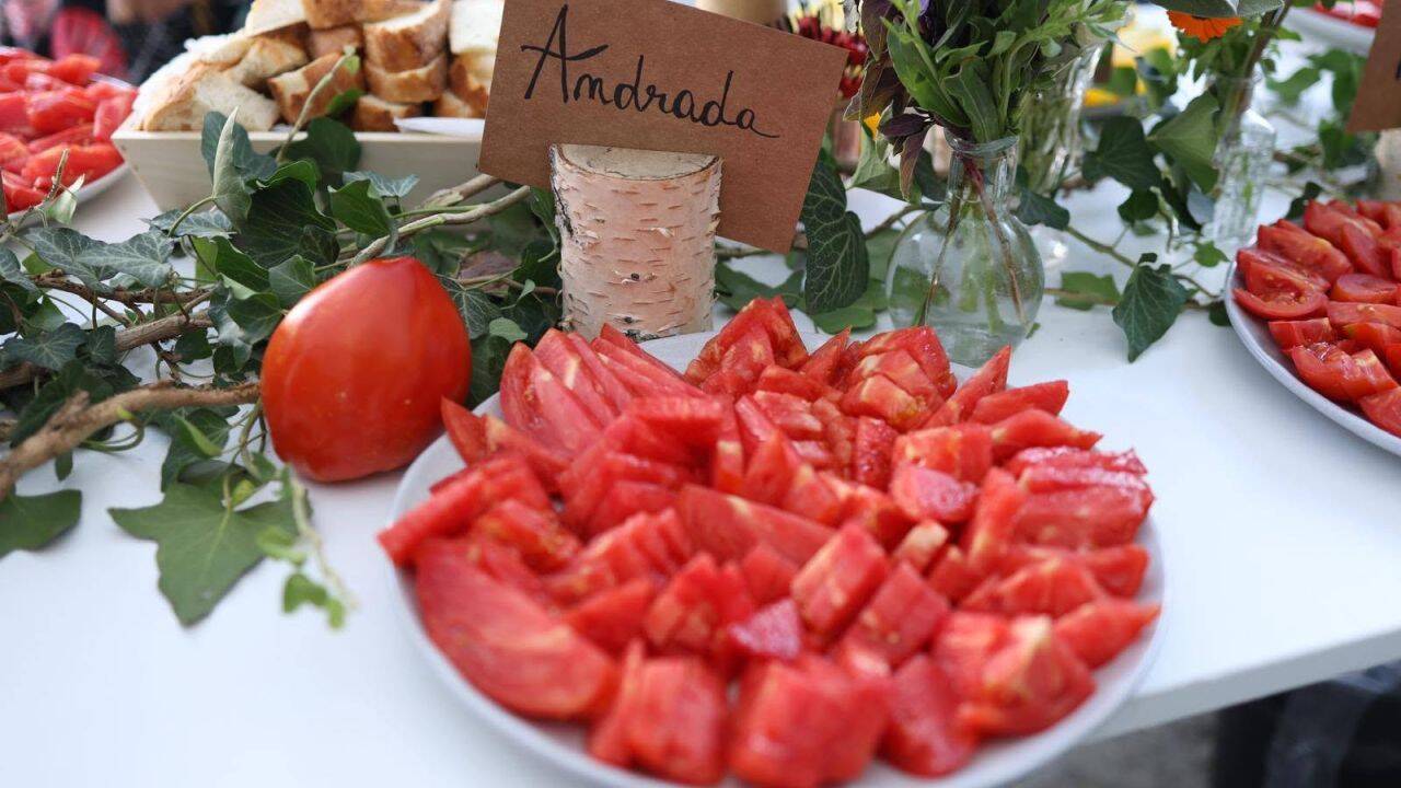 Degustare de tomate