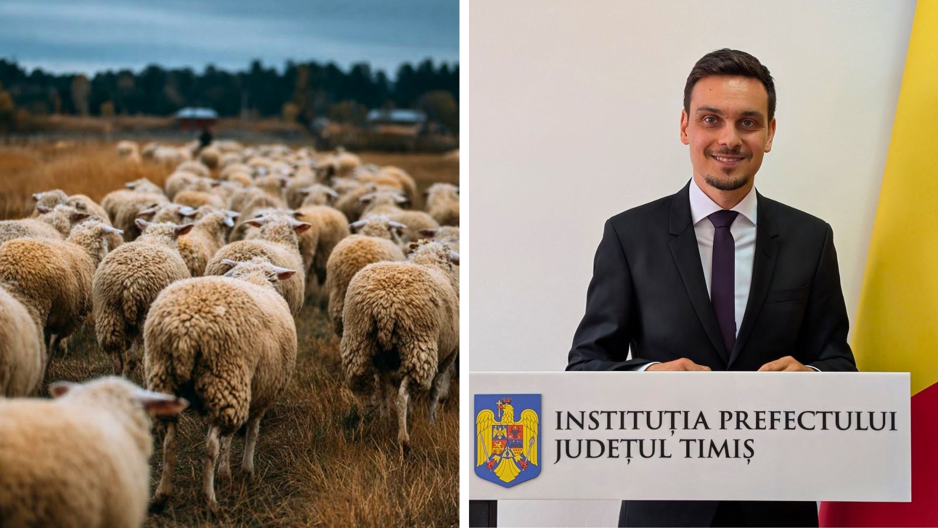 Paul Finta, prefectul județului Timiș, transmite mesaje pe Facebook către DSVSA Timiș