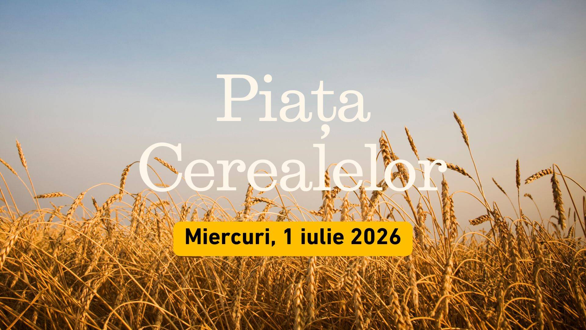 Piața Cerealelor - analiza zilei, 1 iulie 2026
