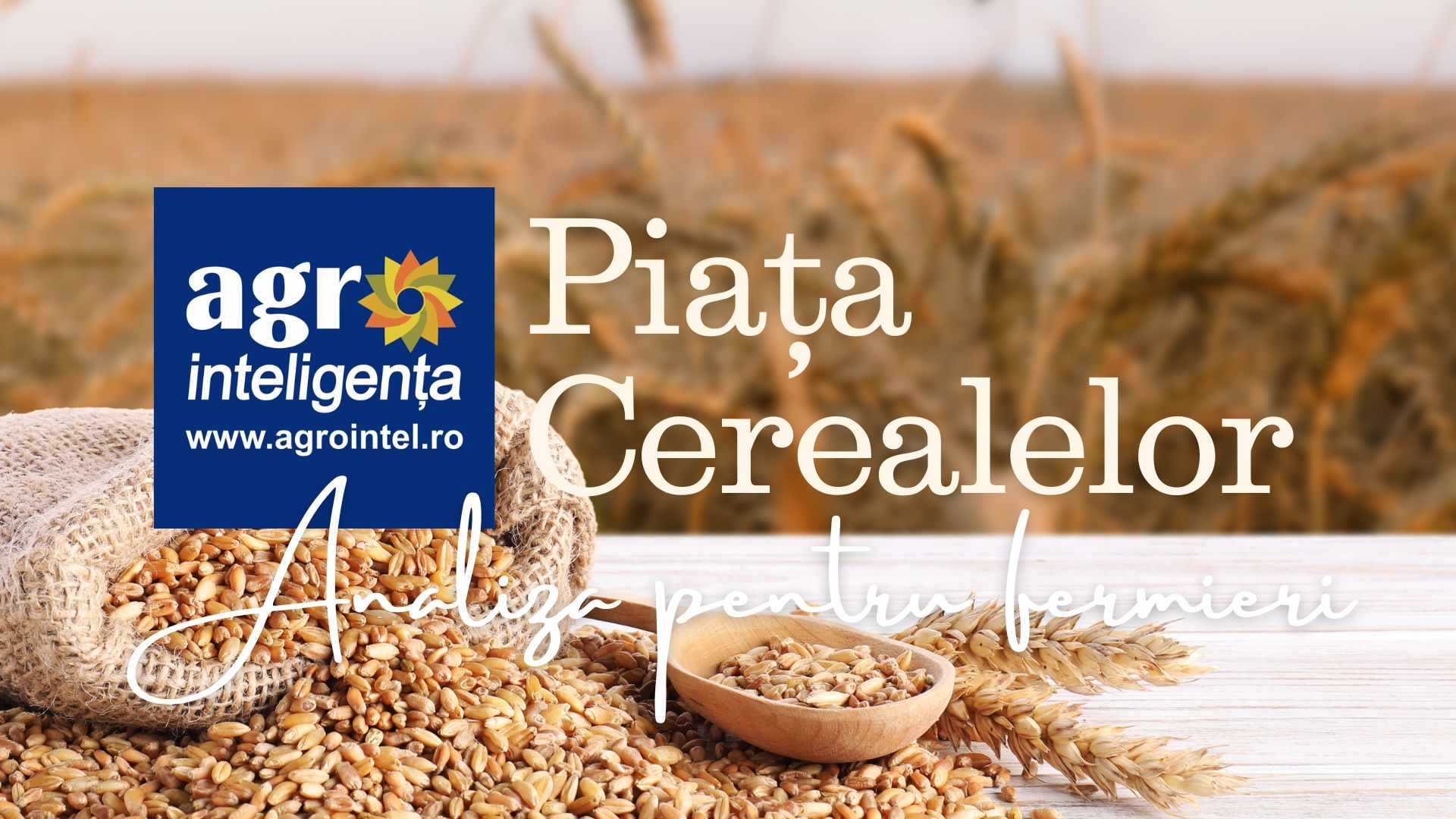 Piața cerealelor - analiză, miercuri, 15 iulie 2026