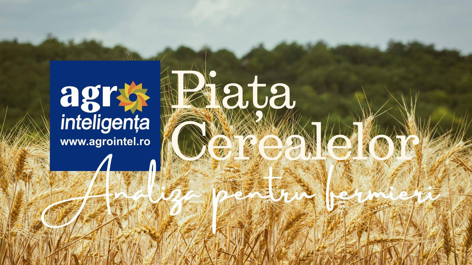 Piața cerealelor - analiză, 14 iulie 2026