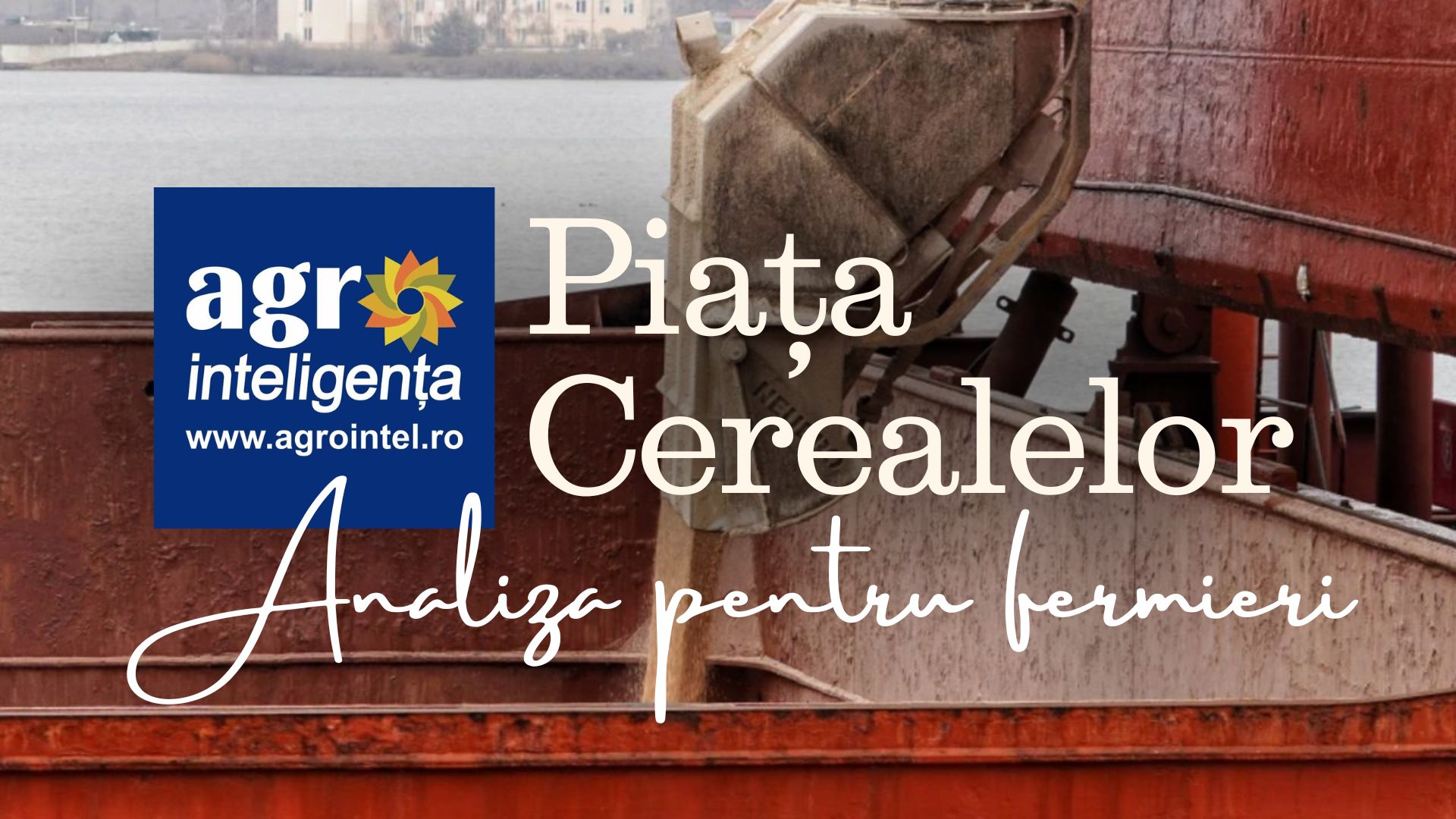 Bursa cerealelor, analiza la zi - luni, 27 iulie 2026