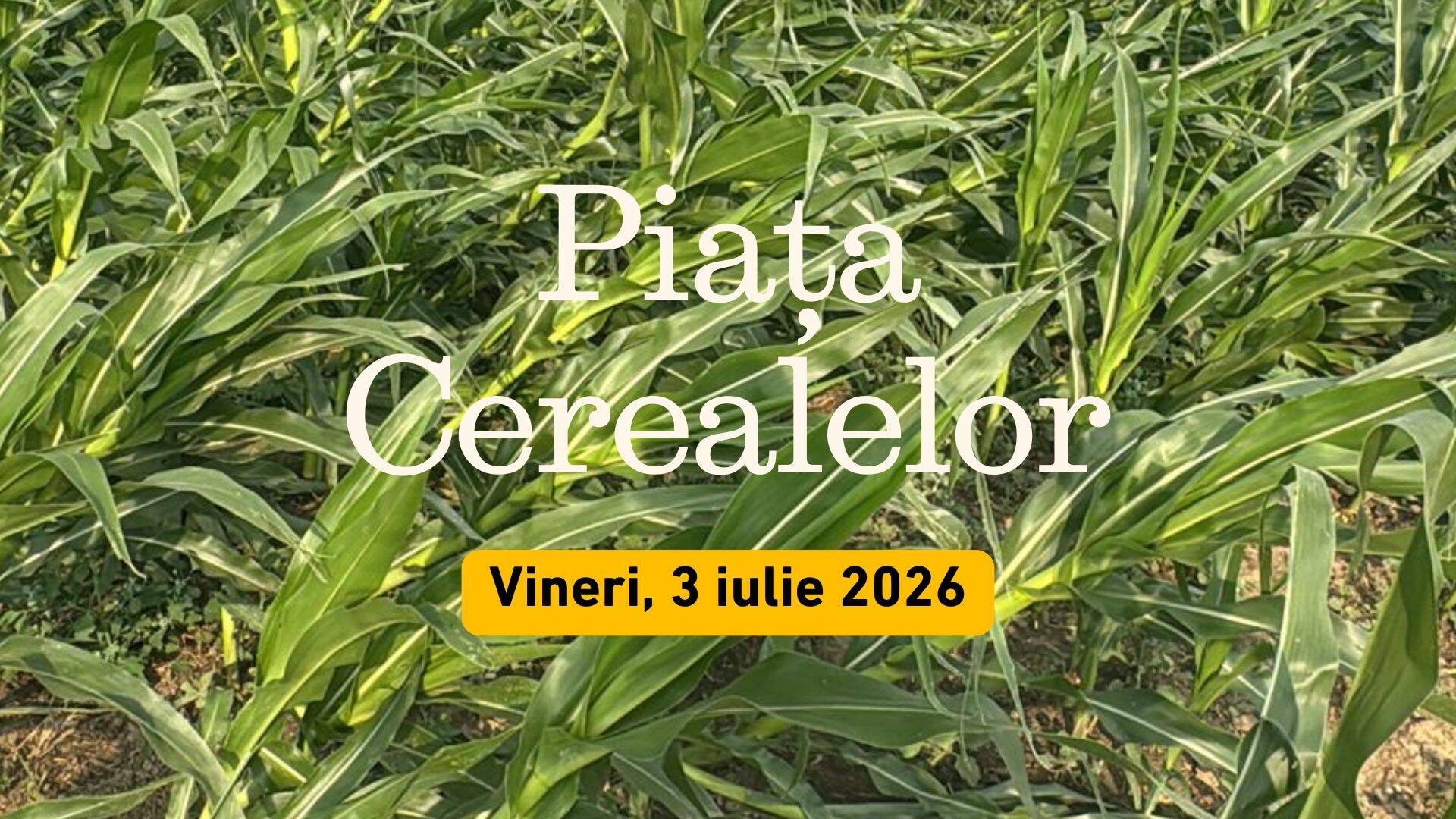 Piața Cerealelor - Vineri, 3 iulie