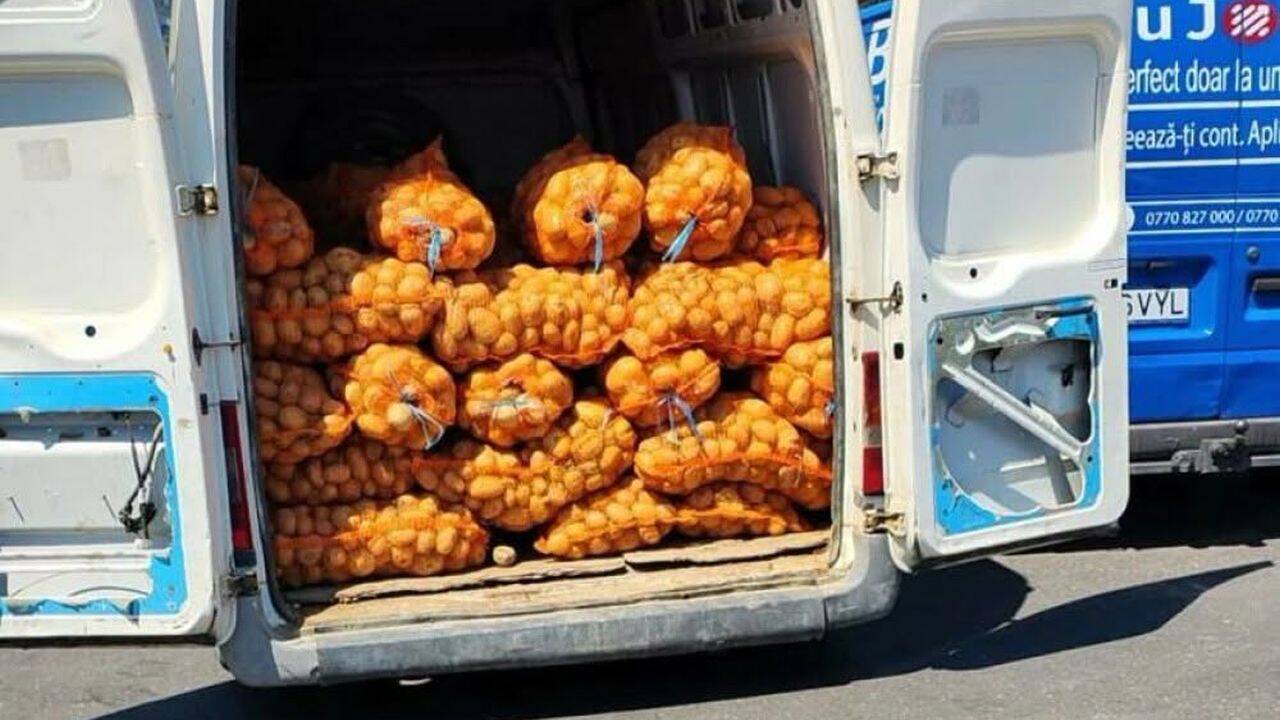 Dubițele care trebuie să aibă tahograf