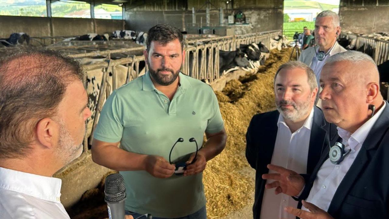 Vizită într-o fermă din Azore