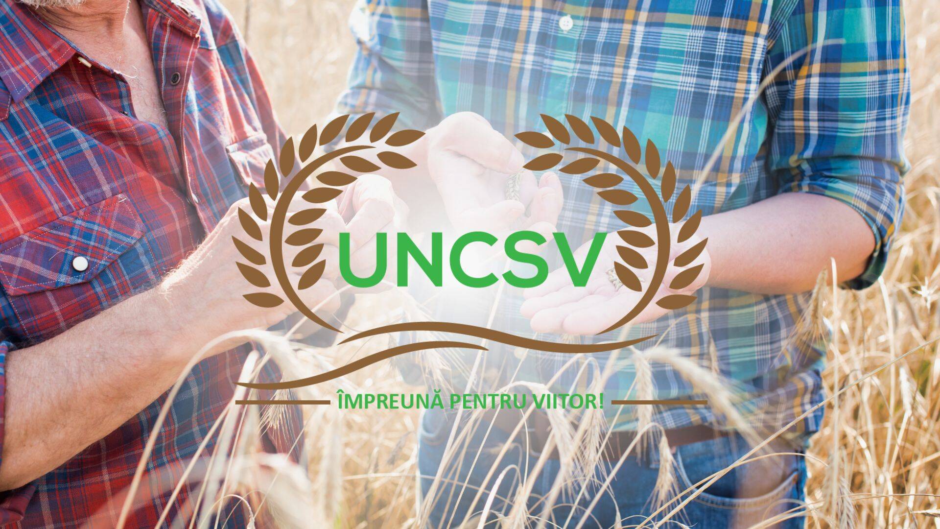 Mesaj UNCSV